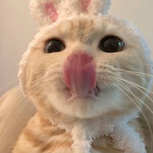 红尘