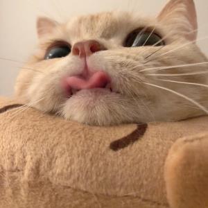 等待