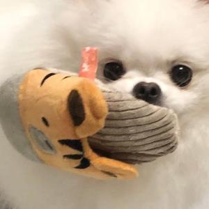 玄玲