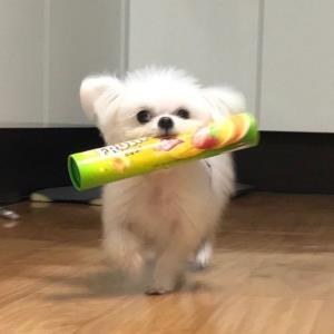 薄荷