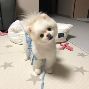 月华