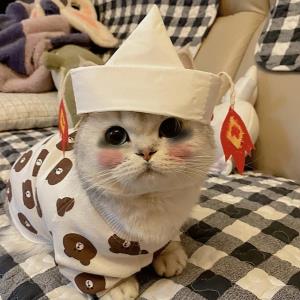 莉雅