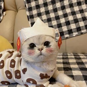 风铃
