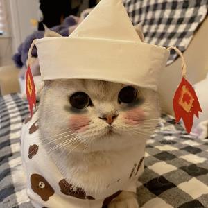 淡语