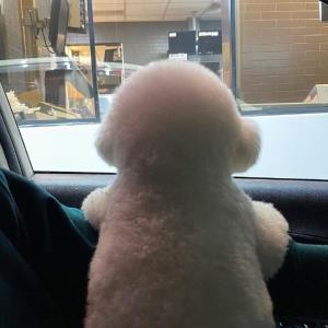 热情的太阳