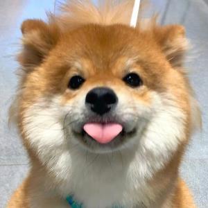 梦璐