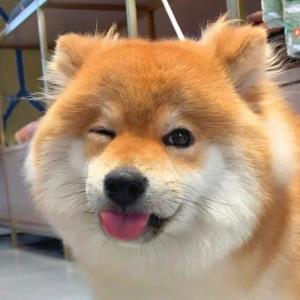 寒冰