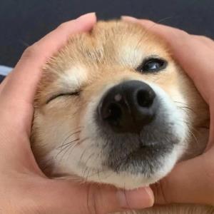 一路向前