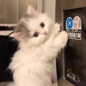 安然
