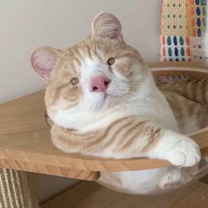 落霞