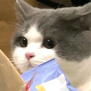 经年