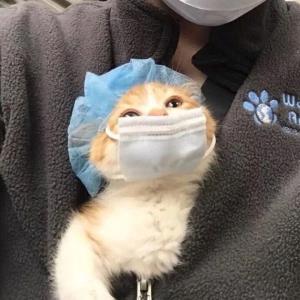 好梦