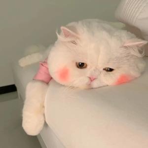 心悦
