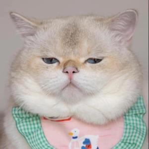 妍妍