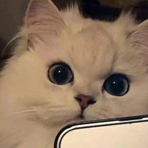 萧萧