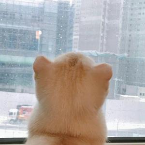 灵韵