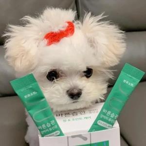 快乐无边