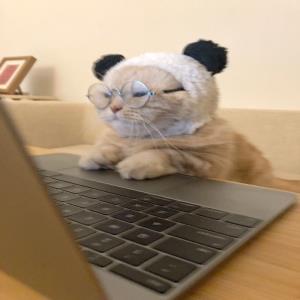 谧然