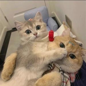 灵魂