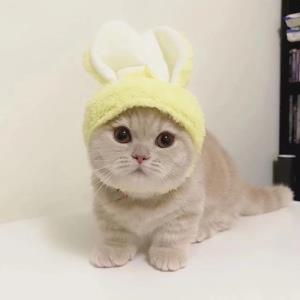 甜心