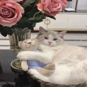 春日