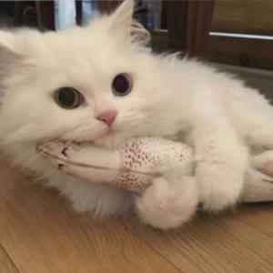 落花