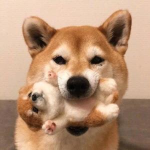 心灵美好