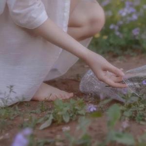 小森林