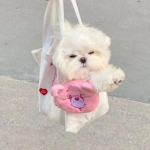 心灵之窗