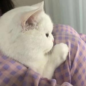 梦瑶瑶