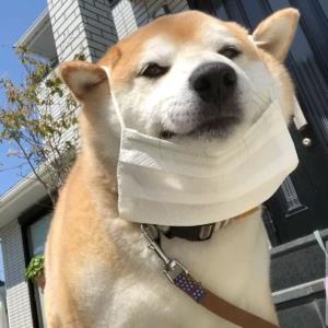 星光闪烁