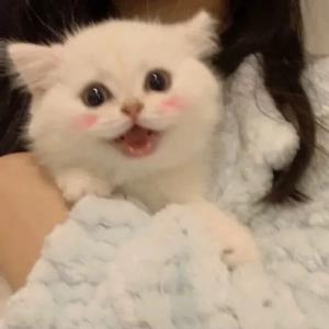 梦之盼