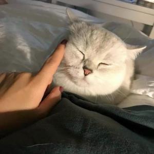 快乐天使