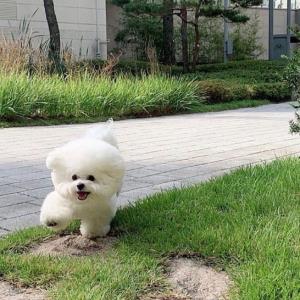 舒适的生活