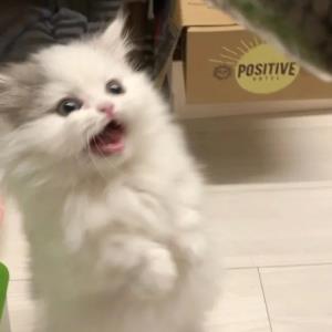 落心