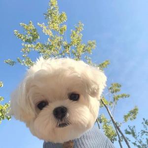 明媚阳光
