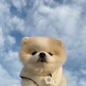 快乐人生