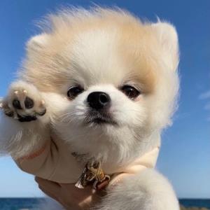 追求自由