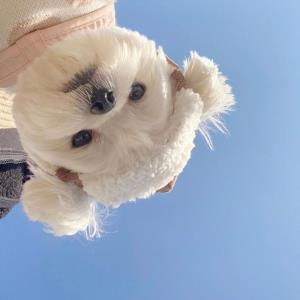 持之以恒