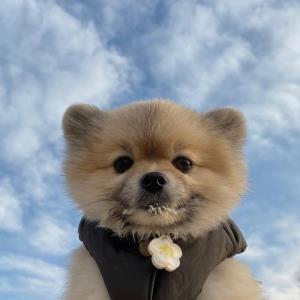 美好未来