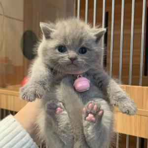 风情万种