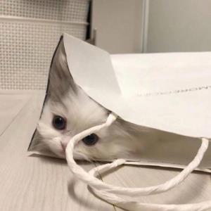清新脱俗