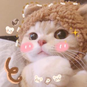 独立的乐章
