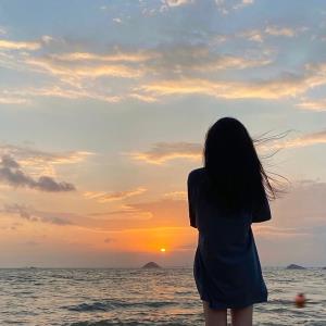 小清新的小鹿