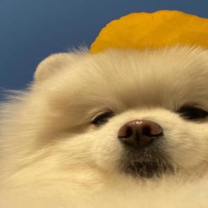温柔力量