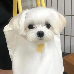 清新的天气