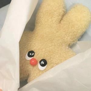 让我幸福的小狗