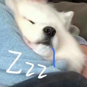 快乐的心情