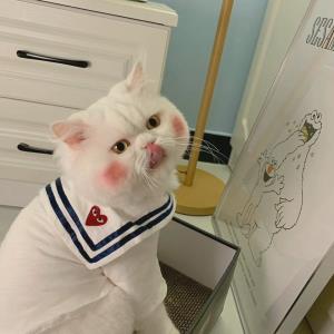 爱情的美好