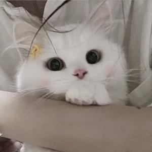 爱情的天堂